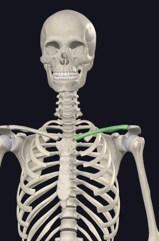 <p>what is this?</p>