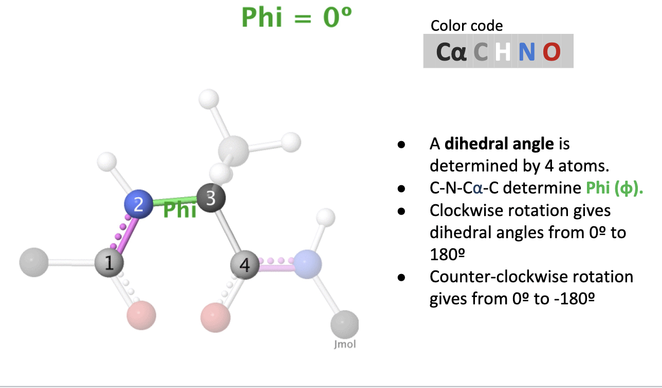 <p>The angle between the 4 atoms that make up psi and phi</p>