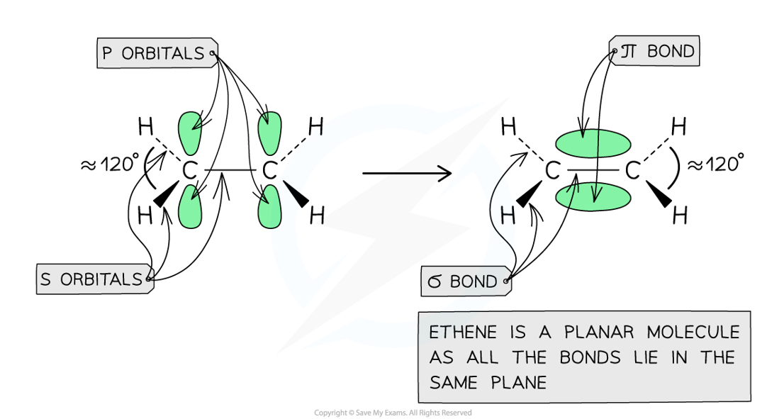 <ul><li><p>A C=C double bond contains a sigma bond (formed by a head-on overlap) &amp; a pi bond (formed by a sideways overlap of p orbitals)</p></li><li><p>Rotation would break the pi bond, as the sideways overlap of p orbitals would be lost</p></li></ul><p></p>