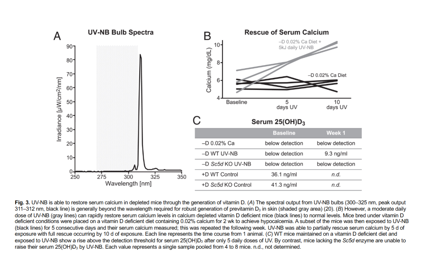 <p>Figure 3 — UV validation + confirmation of complete knockout</p><ul><li><p>briefly interpret it</p></li></ul><p></p>