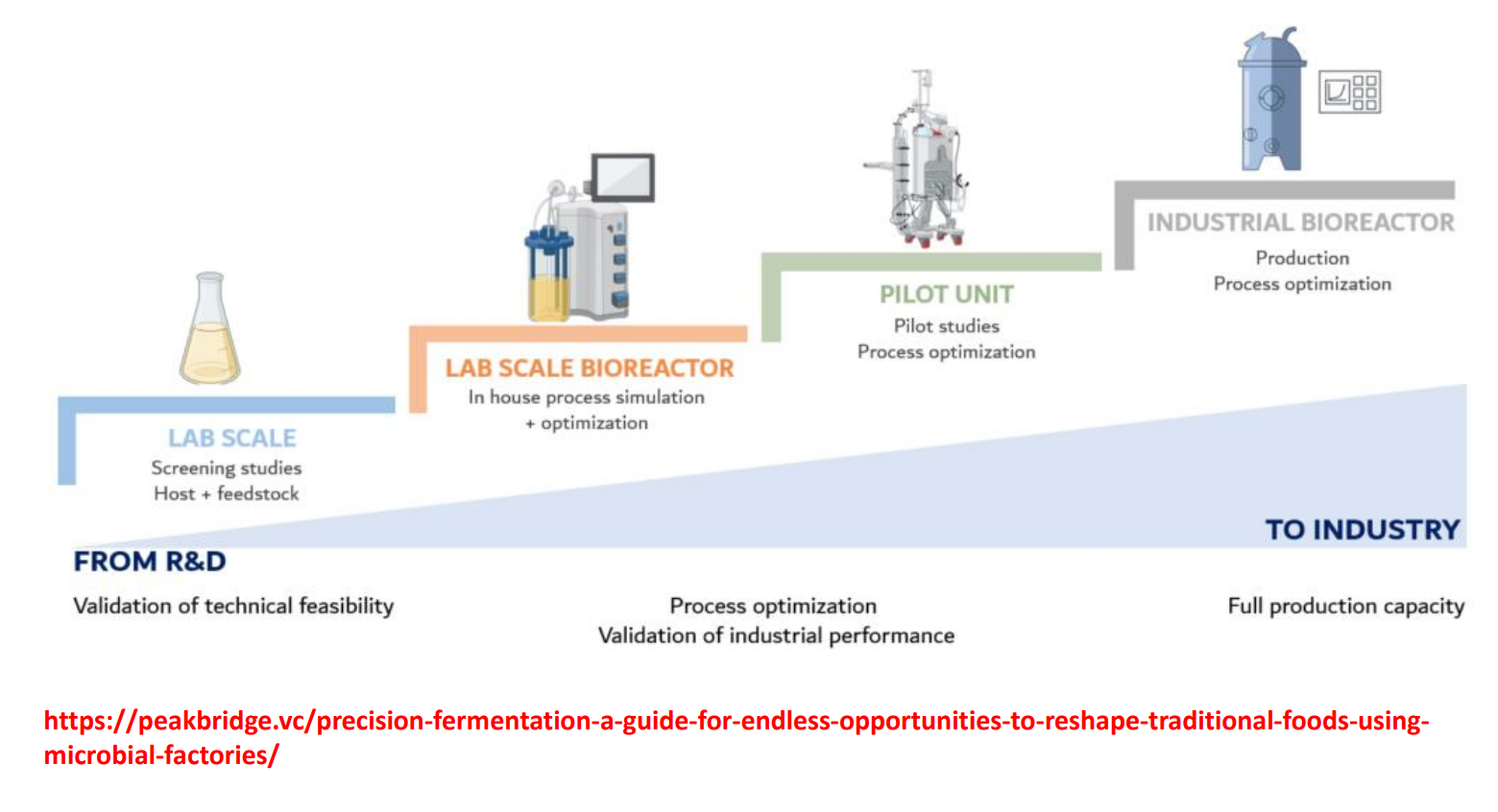 <p>INDUSTRIAL BIOREACTOR</p><p>The focus shifts from “does it work?” to:</p><ul><li><p><strong>Can it run consistently for long periods?</strong></p></li><li><p><strong>Is it economically viable?</strong></p></li></ul><p>Key constraints:</p><ul><li><p>Even small inefficiencies become expensive</p></li><li><p>Variability between batches must be minimized</p></li><li><p>Contamination risk becomes critical</p></li></ul><p>Important requirements:</p><ul><li><p><strong>Strain stability</strong><br>→ no genetic drift over long runs</p></li><li><p><strong>Consistent feedstock quality</strong><br>→ variability affects product output</p></li><li><p><strong>Reproducible process control</strong><br>→ identical conditions across batches</p></li><li><p><strong>Efficient downstream processing</strong><br>→ purification cost often dominates total cost</p></li></ul><p>At this scale, optimization is continuous:</p><ul><li><p>small changes in oxygen transfer, feeding, or mixing can significantly affect:</p><ul><li><p>yield</p></li><li><p>product quality</p></li><li><p>cost per unit</p></li></ul></li></ul><p></p>