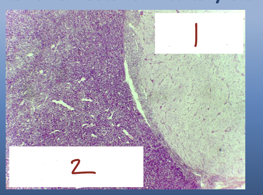 <p>What is number 1?*</p>