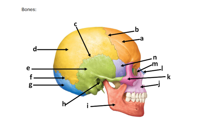 <p>N</p>