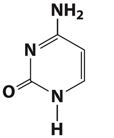 <p></p>