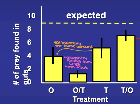 <p>what were the results when Even examined the stomach contents?</p>
