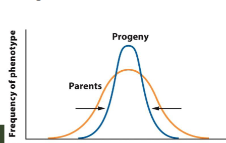 <p><span><br>when individuals with intermediate</span><br><span>phenotypes have higher survival and reproductive success</span><br><span>than those with extreme phenotypes</span></p>