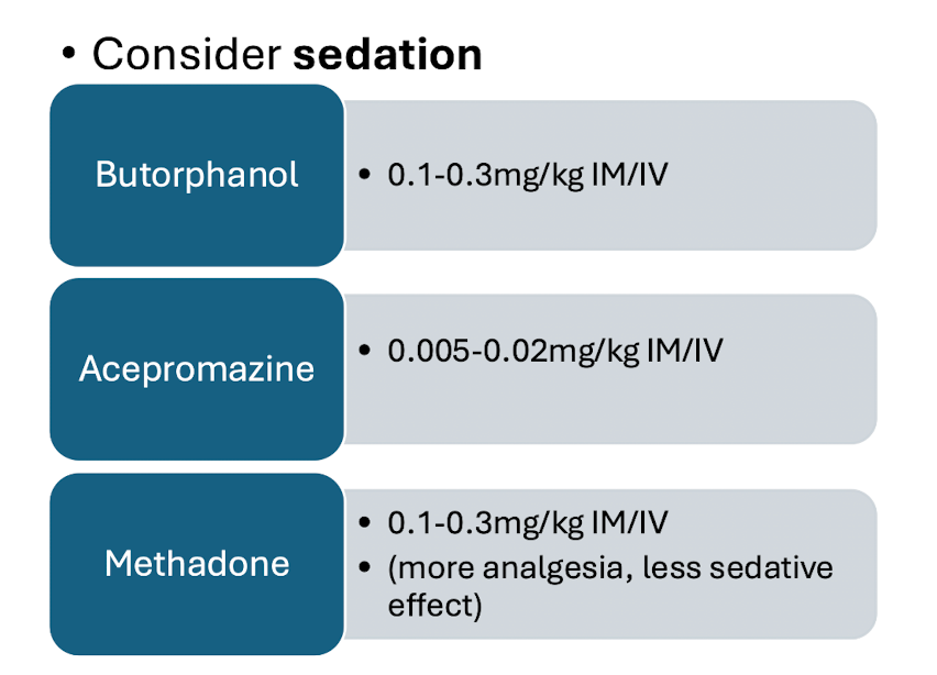 <ul><li><p>Butorphanol - ideal drug of choice, mixed agonist at k-receptors, antagonist at u-receptors, has more of a sedative than analgesic, IV is ideal - small doses</p></li><li><p>Acepromazine - can cause vasodilation, effecting BP</p></li><li><p>Methadone - full u-agonist opioid, great anelgesic, good for trauma patients</p></li></ul><p></p>