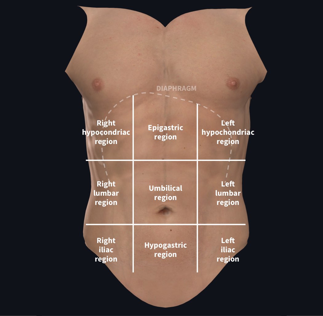 <ul><li><p>first column + third column (right and left):</p><ul><li><p>Right/left hypochondriac region</p></li><li><p>Right/left lateral (lumbar) region</p></li><li><p>Right/left inguinal (iliac) region</p></li></ul></li><li><p>Second column:</p><ul><li><p>Epigastric region</p></li><li><p>Umbilical region</p></li><li><p>Pubic (hypogastric) region</p></li></ul></li></ul><p></p>