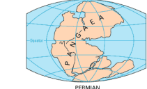 <p>permian</p>