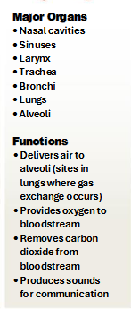 <p>What system is this?</p>