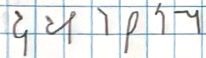 term image