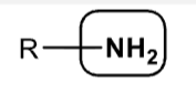 <p>what functional group does this image include?</p>