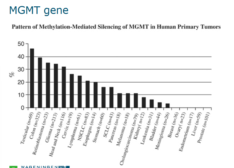 <p>Hypermethylation of MGMT promoter = silencing = mutation = cancer (epidriver)</p><p></p>