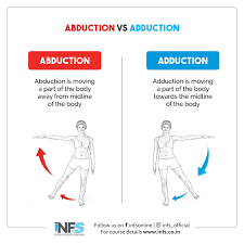 <p>bringing a body part <strong>inward, toward the center line</strong></p><ul><li><p>detail: opposite of abduction, lateral-medial plane (<em>side-to-side</em>), moves toward the longitudinal axis (center line)</p></li><li><p>example: bringing arms down in a jumping jack, bringing fingers together, or snapping the wrist</p></li></ul><p></p>