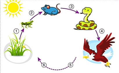 <p>Tell me the process and define each order</p>