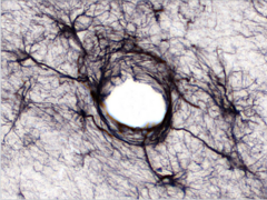 <p>What does this image show?</p>