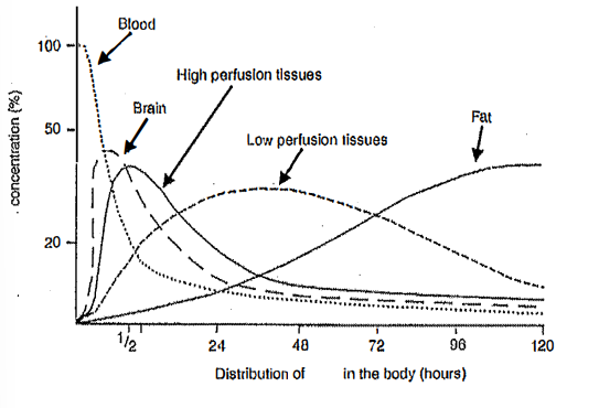 <p>describe the pharmacokinetic terms of half-life, volume of distribution, and bioavailability</p>
