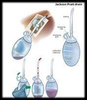 <p>Tubing and bulb</p>