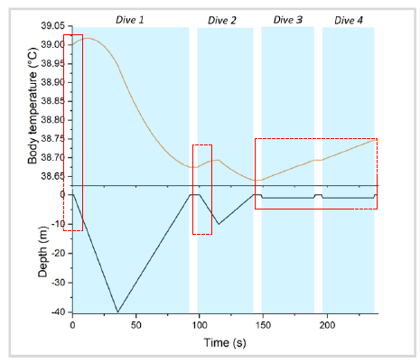 <p>Endotherms have a much higher body temperature than the water </p>