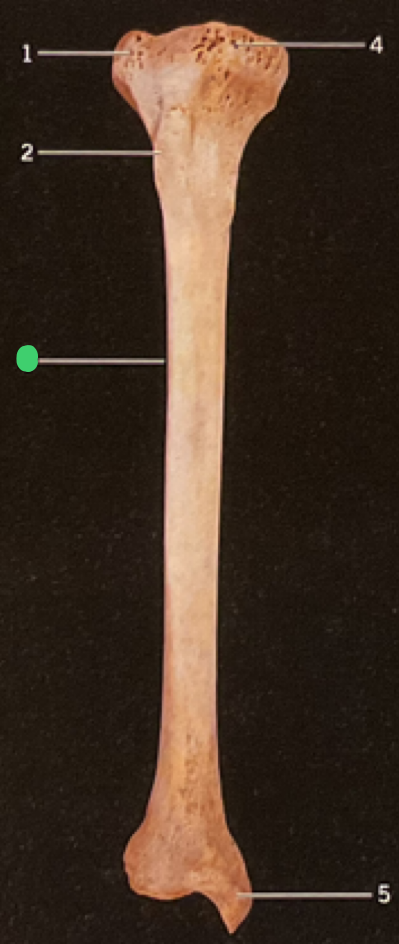 <p>4</p>