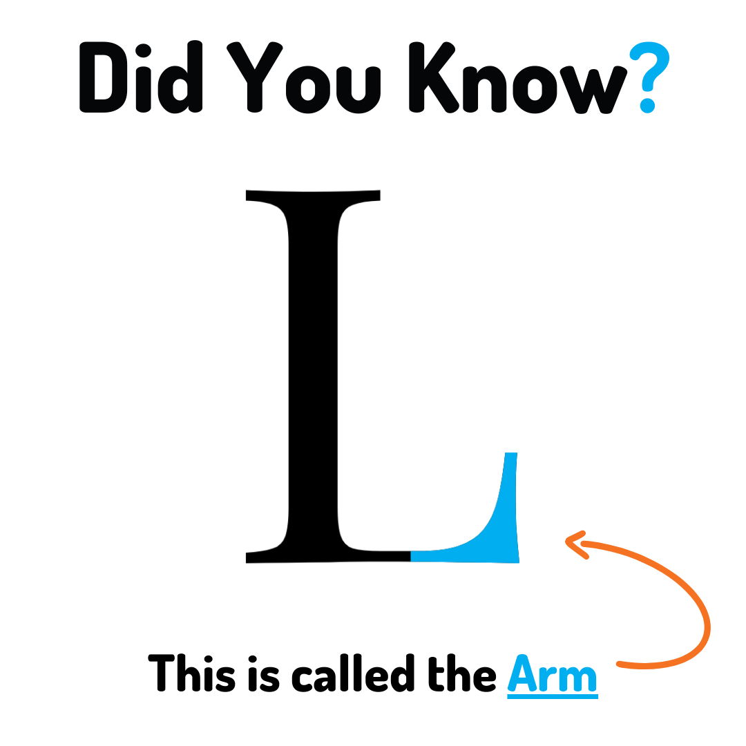 <p>Parts of a letter only connected on one side </p>