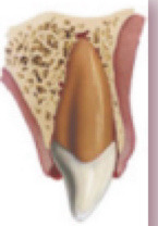 <p>What is this?</p>