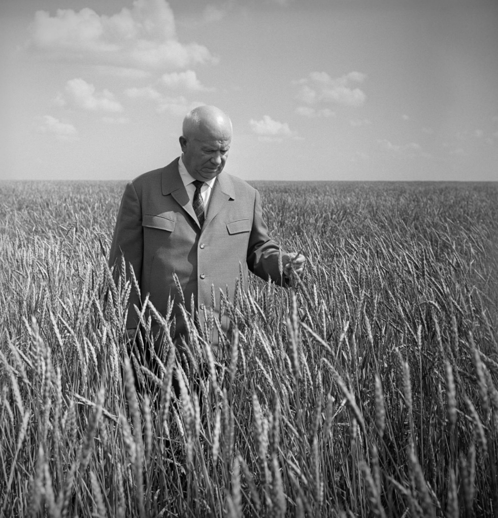 <p>When was the Virgin Lands Scheme introduced?</p>