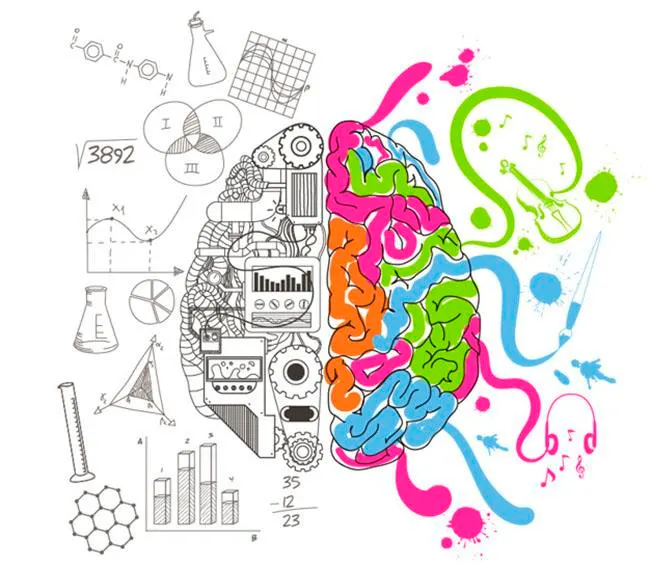 <p>- language &amp; logical thinking</p>