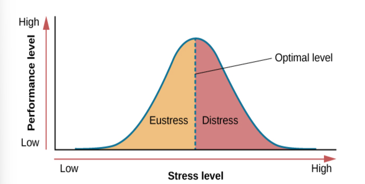<p><span>As stress increases, so do performance and general well-being (eustress); when stress levels reach an <strong>optimal/moderate</strong> level (the highest point of the curve), performance reaches its peak. A person at this stress level is colloquially at the top of their game, meaning they feel fully energized, focused, and can work with minimal effort and maximum efficiency. </span></p><p><span>But when stress <strong>exceeds </strong>this optimal level, it is no longer a positive force—it becomes excessive and debilitating, or what Selye termed</span><strong>&nbsp;distress</strong></p>