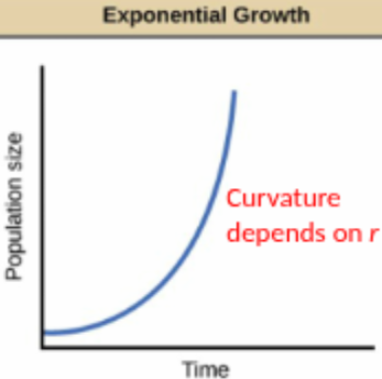 <p>Population grows continuously at a <strong>constant per-capita rate (r)</strong> with <strong>no density limits</strong>.</p><p>Assumptions</p><ul><li><p>Every individual has the <strong>same chance of reproducing or dying</strong>.</p></li><li><p>Birth and death rates are <strong>constant over time</strong>.</p></li><li><p>These rates <strong>do not depend on population size</strong> (no density dependence).</p></li></ul><p>Intrinsic Growth Rate (r)</p><p><strong>r = birth rate − death rate</strong></p><p>Units: <strong>time⁻¹</strong></p><ul><li><p><strong>r > 0</strong> → population increases</p></li><li><p><strong>r = 0</strong> → population stays constant</p></li><li><p><strong>r < 0</strong> → population decreases</p></li></ul><p>Each individual contributes <strong>r new individuals per unit time on average</strong>, regardless of population size.</p><p>Example: <strong>E. coli</strong> reproducing by binary fission.</p><p>Limitation</p><p>Exponential growth <strong>cannot continue forever</strong> because in real populations:</p><ul><li><p>Resources become limited</p></li><li><p>Competition increases</p></li><li><p>Disease spreads more easily</p></li></ul><p>As population density increases, growth eventually slows.</p><p></p><p>Exponential Growth Equations:</p><p>1. Instantaneous Growth Equation (Rate of Change) is <strong>dN/dt = rN</strong></p><p>This equation describes <strong>how fast the population size is changing at a specific moment in time</strong>.</p><p><strong>Variables:</strong></p><ul><li><p><strong>N</strong> = population size</p></li><li><p><strong>r</strong> = intrinsic growth rate (birth rate − death rate)</p></li><li><p><strong>dN/dt</strong> = rate of population change over time<br>The <strong>larger the population (N)</strong>, the <strong>faster it grows</strong>, because more individuals are reproducing.</p></li></ul><p></p><p>2. Population Size Over Time is <strong>Nₜ = N₀ eʳᵗ</strong><br>This equation predicts the <strong>population size after a certain amount of time</strong>.</p><p><strong>Variables:</strong></p><ul><li><p><strong>Nₜ</strong> = population size at time <strong>t</strong></p></li><li><p><strong>N₀</strong> = initial population size</p></li><li><p><strong>r</strong> = intrinsic growth rate</p></li><li><p><strong>t</strong> = time</p></li><li><p><strong>e</strong> = Euler’s number (~2.718)</p></li></ul><p></p><p>Relationship Between the Two</p><ul><li><p><strong>dN/dt = rN</strong> → describes the <strong>rate of growth at a moment in time</strong></p></li><li><p><strong>Nₜ = N₀ eʳᵗ</strong> → describes the <strong>population size after time t</strong></p></li></ul><p>Both describe <strong>exponential population growth</strong> when <strong>r is constant and there are no density limits</strong>.</p><p></p><p>For exponential growth, the <strong>slope</strong> of the line (on a logged y-axis scale) is the <strong>value of r</strong>.</p><p></p><p>So, these are <strong>NOT</strong> included in the exponential model: Immigration, Emigration, Negative density dependence, &amp; Positive density dependence</p><p>Birth and death occur continuously, rather than in discrete units of time</p>