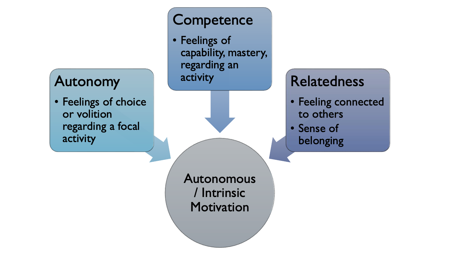 <ul><li><p><strong>Autonomy</strong>: feeling of <strong><em>volition</em></strong> regarding choice/behaviour</p></li><li><p><strong>Competence</strong>: feelings of adequate <strong><em>capability/mastery</em></strong> regarding activity</p></li><li><p><strong>Relatedness</strong>: feeling <strong><em>connected to others</em></strong>, sense of <strong><em>belonging</em></strong></p></li></ul><p></p>