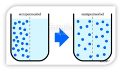 <p>this is an example of</p>