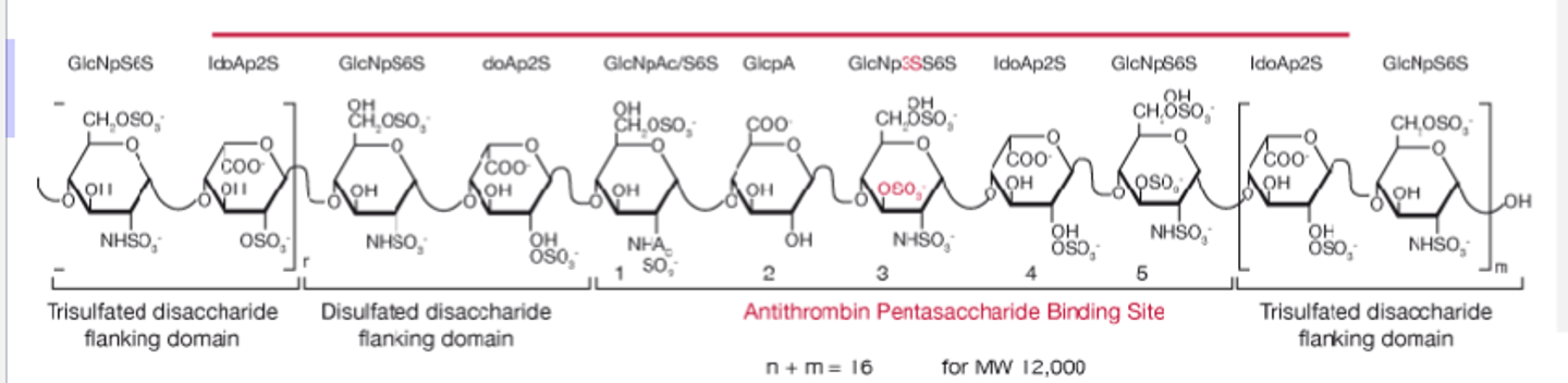 <p>• Composed of a heterogeneous mixture of straight-chain, sulfated, and negatively charged polysaccharides of a molecular weight range of 5 to 30 kd</p><p>• Under physiologic pH conditions, heparin exists primarily as polysulfate anions and, therefore, usually is administered as a salt.</p>