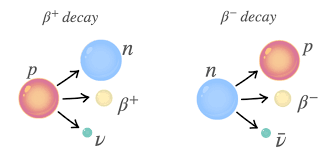 <p>☆ <strong>Beta-Plus Decay</strong></p>