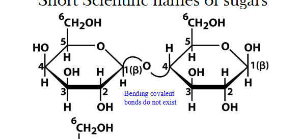 <p>is always the one that donated the hydroxyl group of the anomeric carbon</p>
