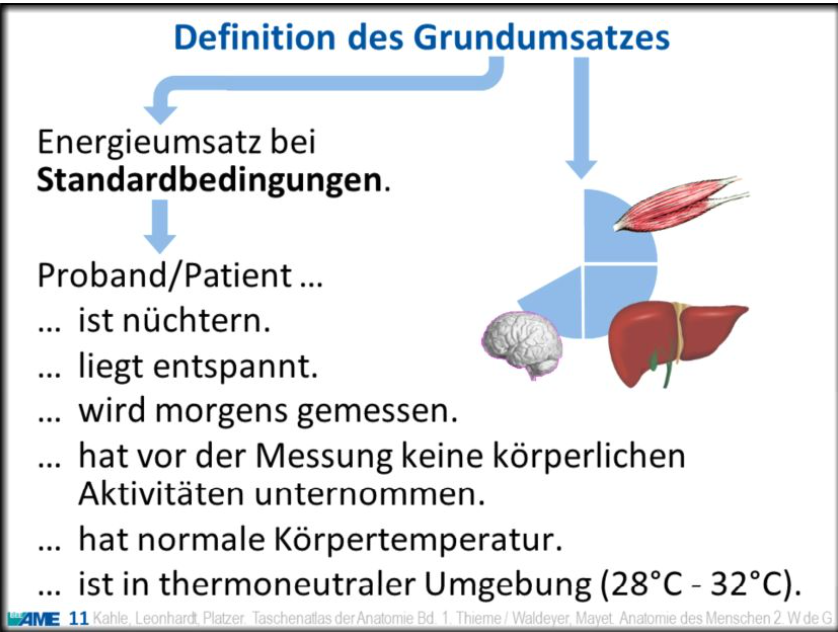 <p>nüchtern = sober (eng)</p>