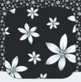 <p>Midnight Collection</p>