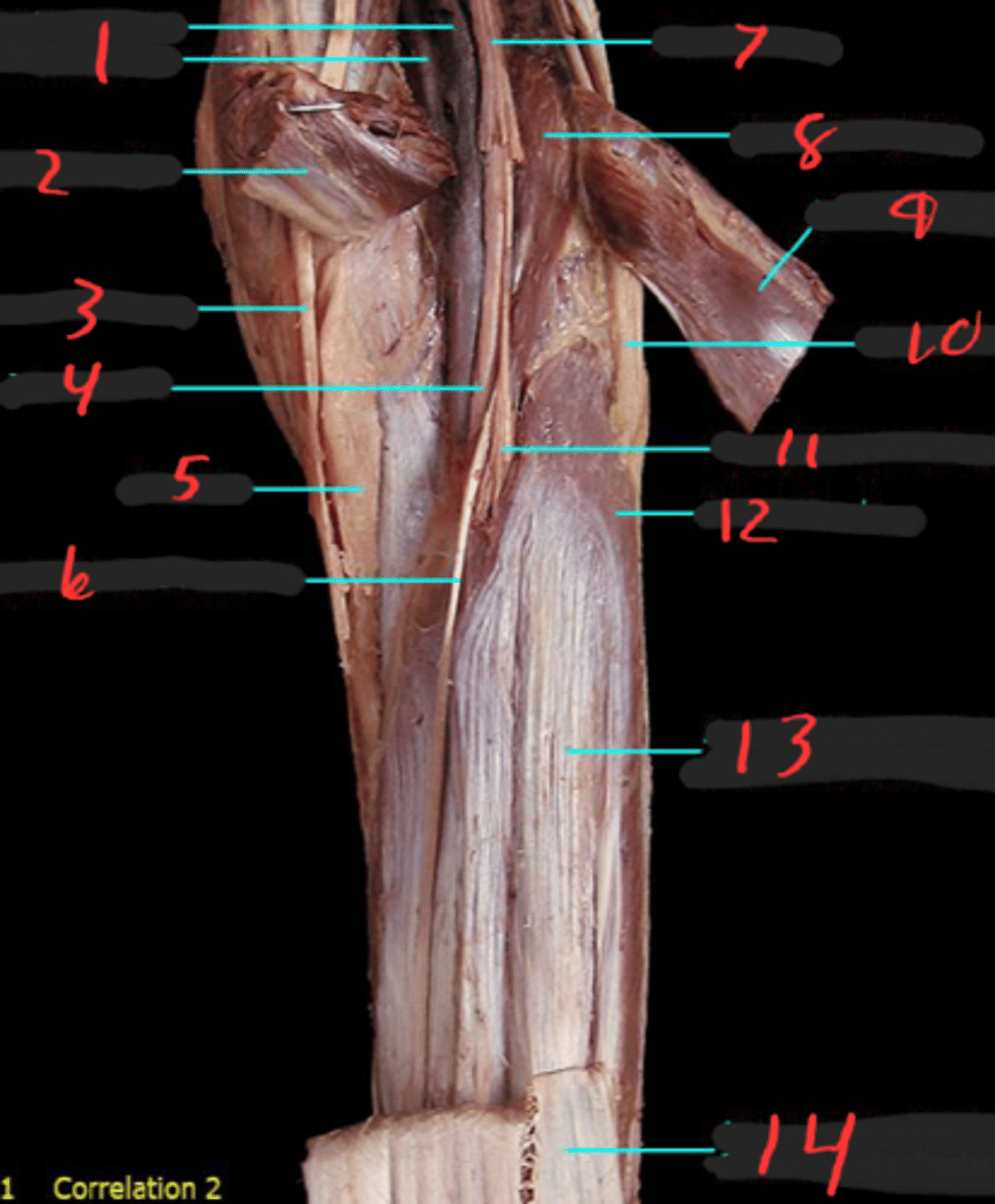 <p>10</p>