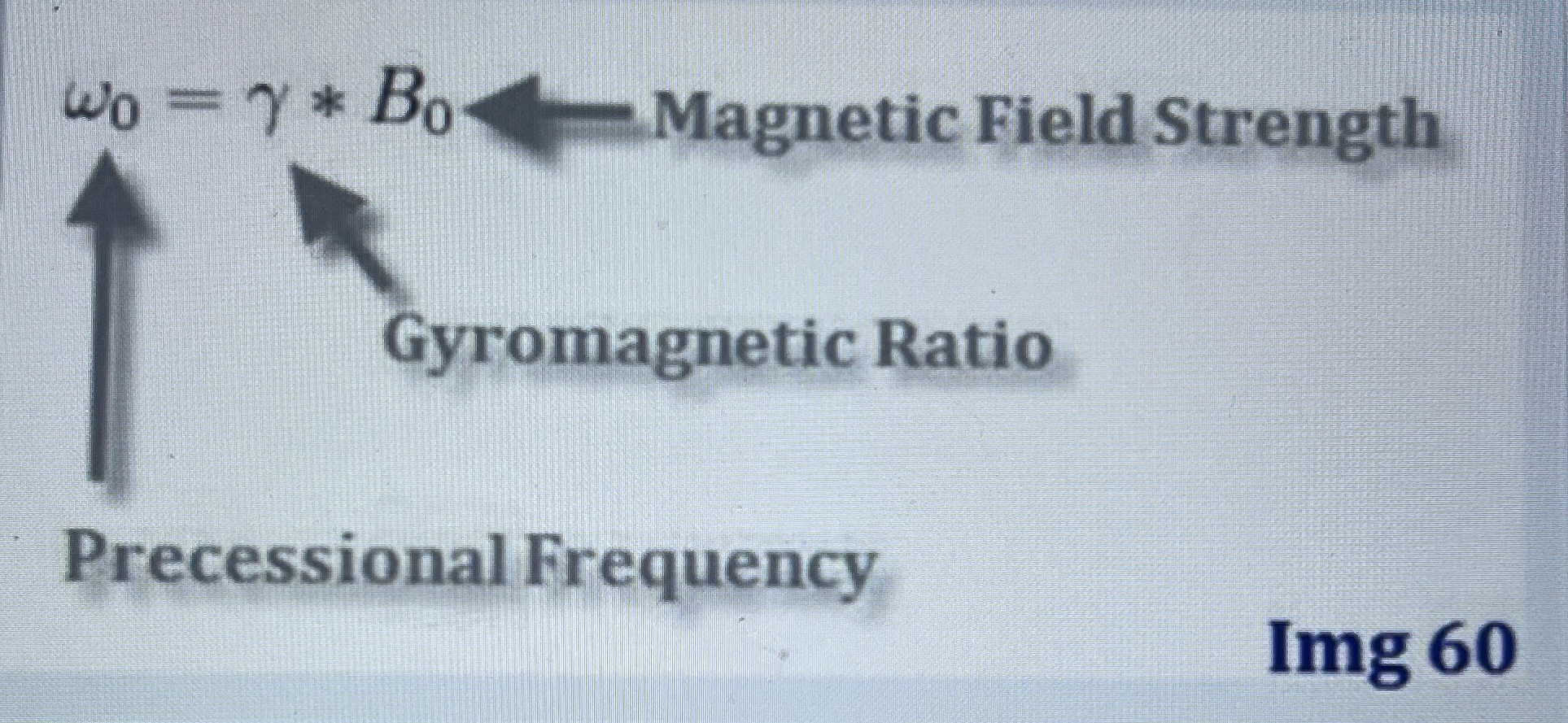 <p>Image 60 represents the:</p>