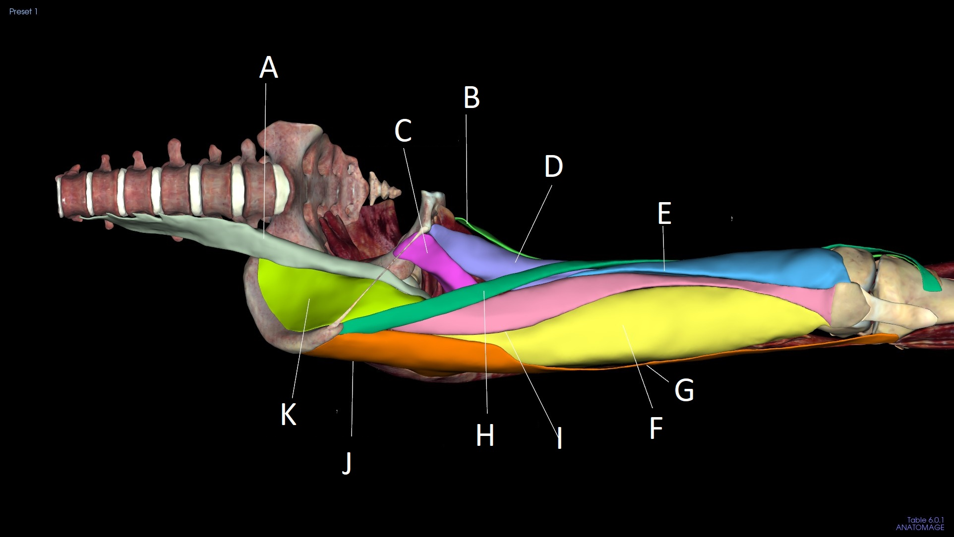 <p>B</p>