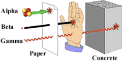 <p>**X-rays are "packets" of energy that travel with properties of:</p><p>-Waves (Electromagnetic Radiation)</p><p>-Particles (X-ray photon or bundle of energy) </p><p>* "Mass in Motion" </p><p>* Possesses an electrical charge</p><p>* Travels in a straight line that creates tiny fast moving subatomic particles that have energy and mass</p>