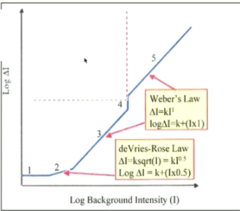 <p>Dark Light Region: What is the slope of the dark light region?</p>