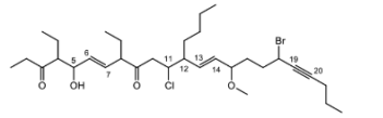 <p>Which of the following is the strongest bond?</p>
