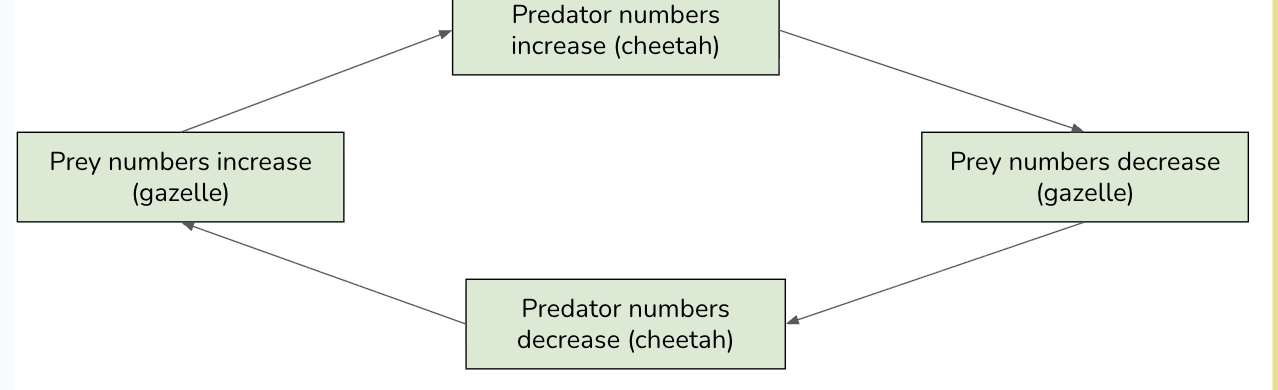 <ul><li><p><span style="background-color: transparent;">Density-dependent factor &amp; negative feedback loop</span></p></li><li><p><span style="background-color: transparent;"><strong><u>Canada lynx and the snowshoe hare</u></strong> are an example of a predator-prey interaction.</span></p></li><li><p><span style="background-color: transparent;"><strong>Changes in the numbers </strong>of the lynx (predator) population are followed by <strong>changes in the numbers</strong> of the hare (prey) population.</span></p></li><li><p><span style="background-color: transparent;">Limiting factor for lynx population: <strong><u>food availability</u></strong></span></p></li><li><p><span style="background-color: transparent;">Limiting factor for snowshoe hare: <strong><u>number of predator</u></strong></span></p></li></ul><p></p>