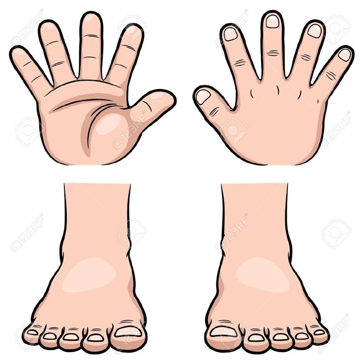 <p>finger &amp; toe</p>