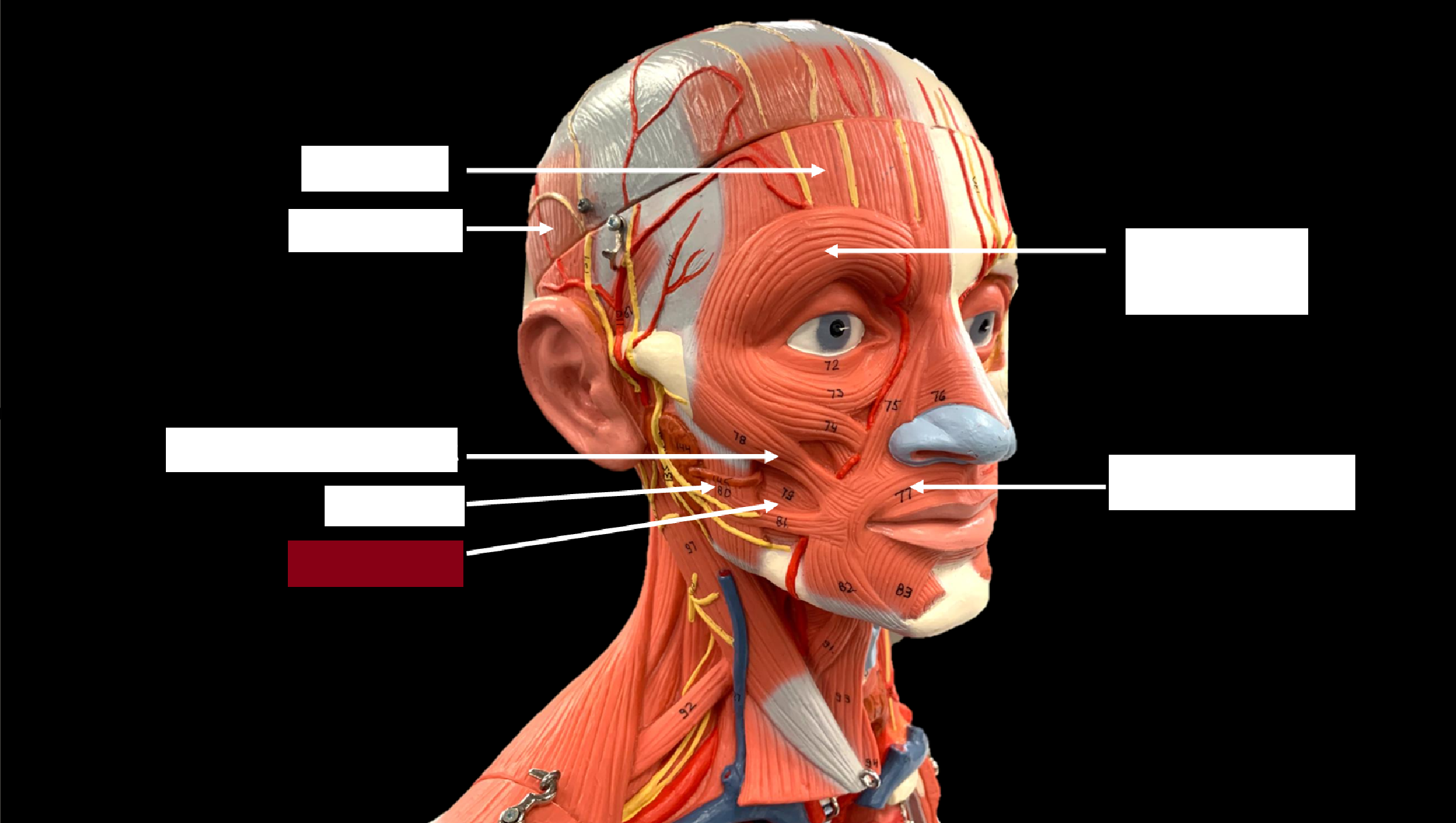 <p>WHAT IS THE NAME OF THE RED HIGHLIGHTED PART?</p>