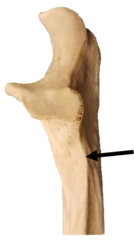 <p></p>