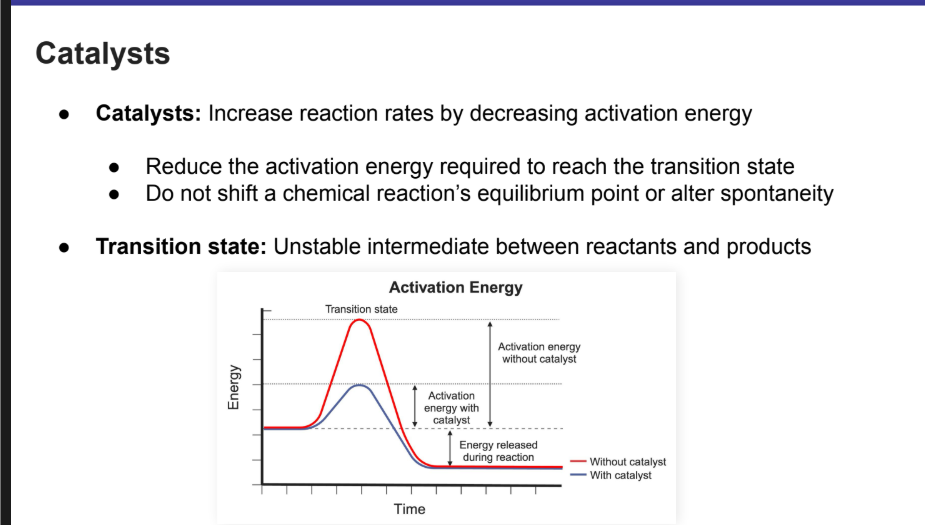 <p>Increases reaction rates by decreasing <strong>activation energy</strong></p><ul><li><p>Reduces the activation energy required to reach the transition state</p></li><li><p>Do not shift a chemical reaction’s equilibrium point or alter spontaneity</p></li></ul><p></p><p></p>
