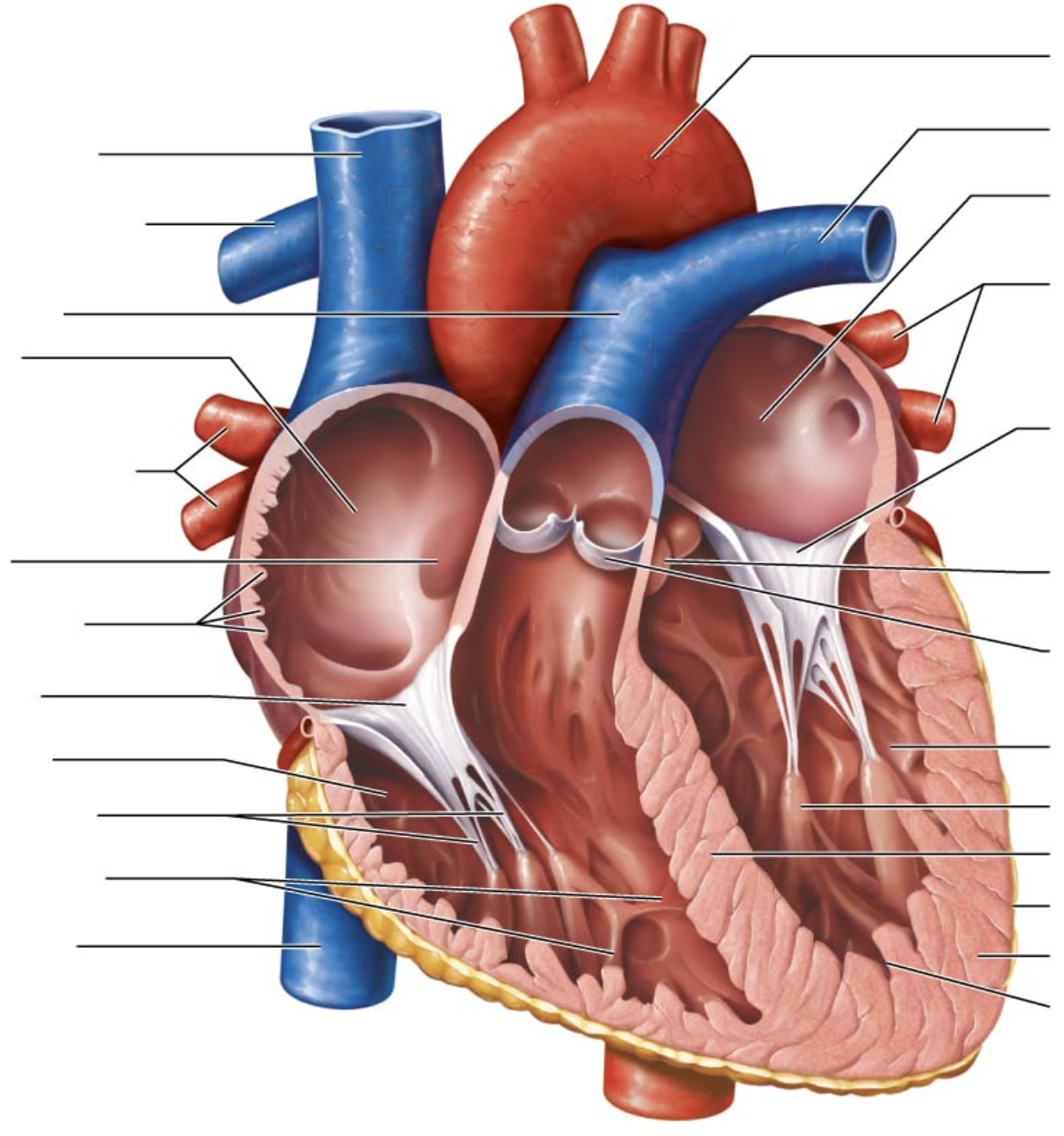 <p>tenth arrow on left</p>