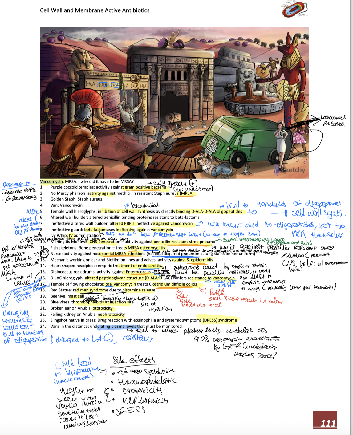 knowt flashcard image